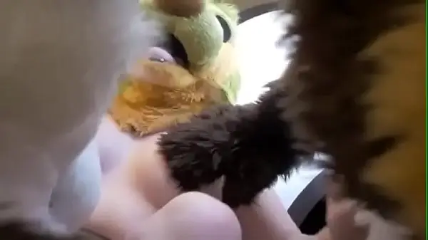 Fursuit Fuck