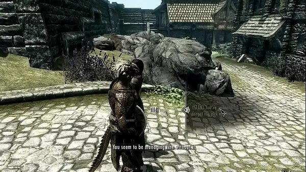 Skyrim Adult Video