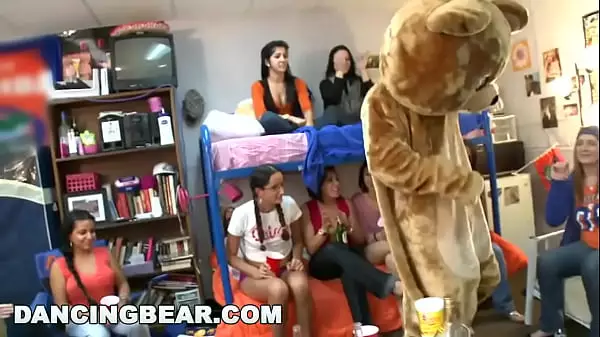 Dancing Bear - Everyone'S Favorite Mascot Invades College Dorm And Swings Dick For Horny Sorority Sluts