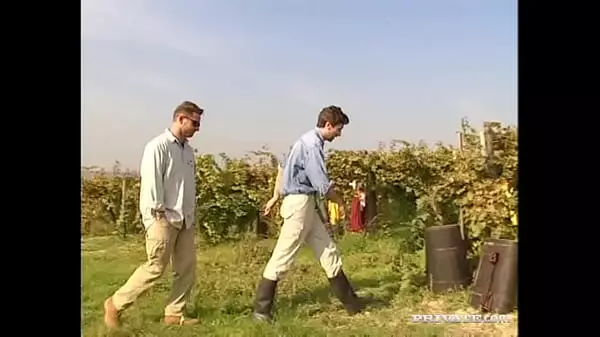 While Working In The Vineyard Daniela Takes A Blowjob And Anal Break