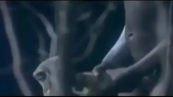 African Tribe Women Nude