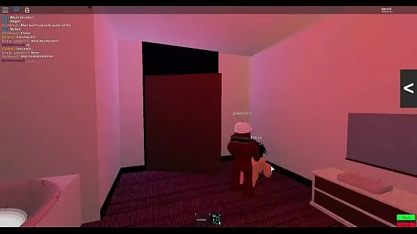 Roblox Vagina