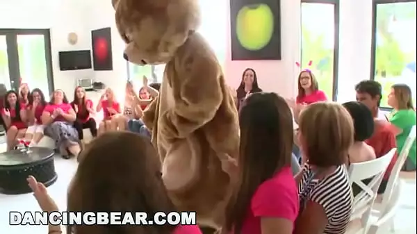 Free Hd Dancing Bear Videos