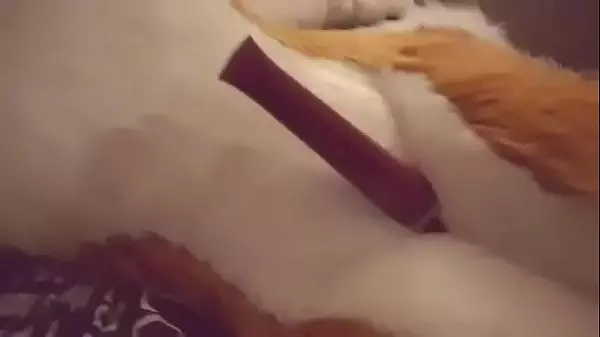 Fursuit Orgy