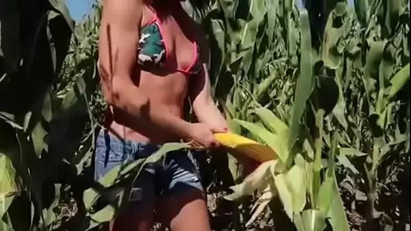 Farm Fun Porn