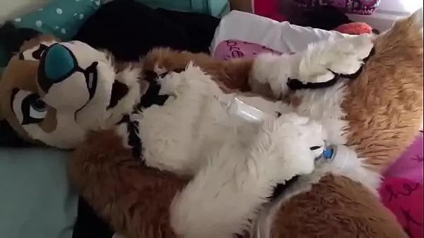 Fursuit Sex