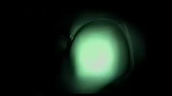 Real Bachelorette Party Videos