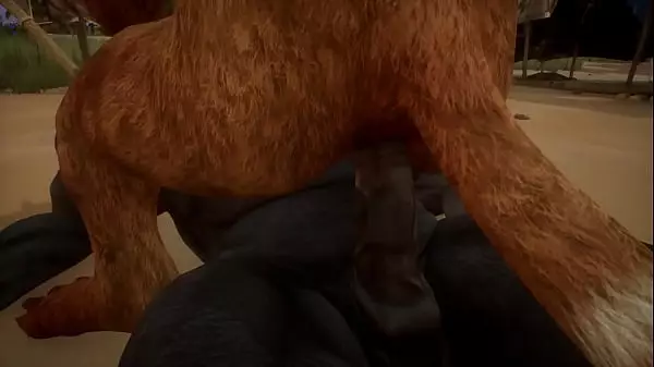 Gay Furry Lion Porn