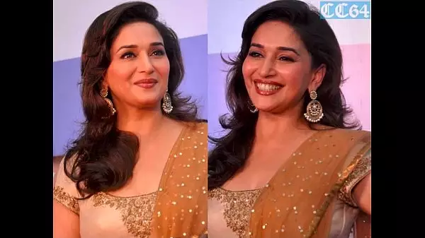 Madhuri Dixit Pussy