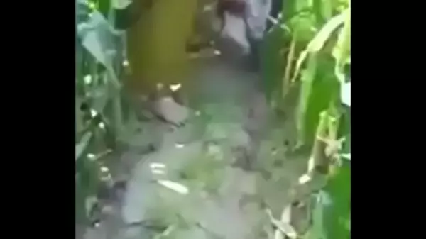 Pakistani Village Porn Tube