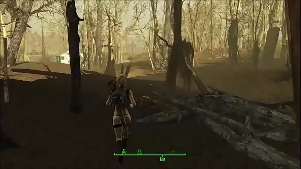 Fallout Nv Porn