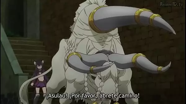 Harem Animes