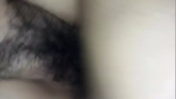 Panochas Peludas Xxx