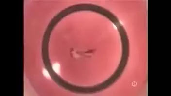 Japanese Invisible Porn