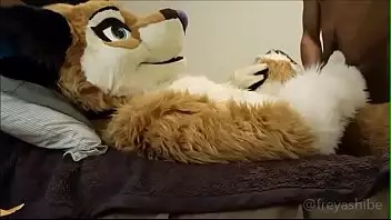 Yiff Porn